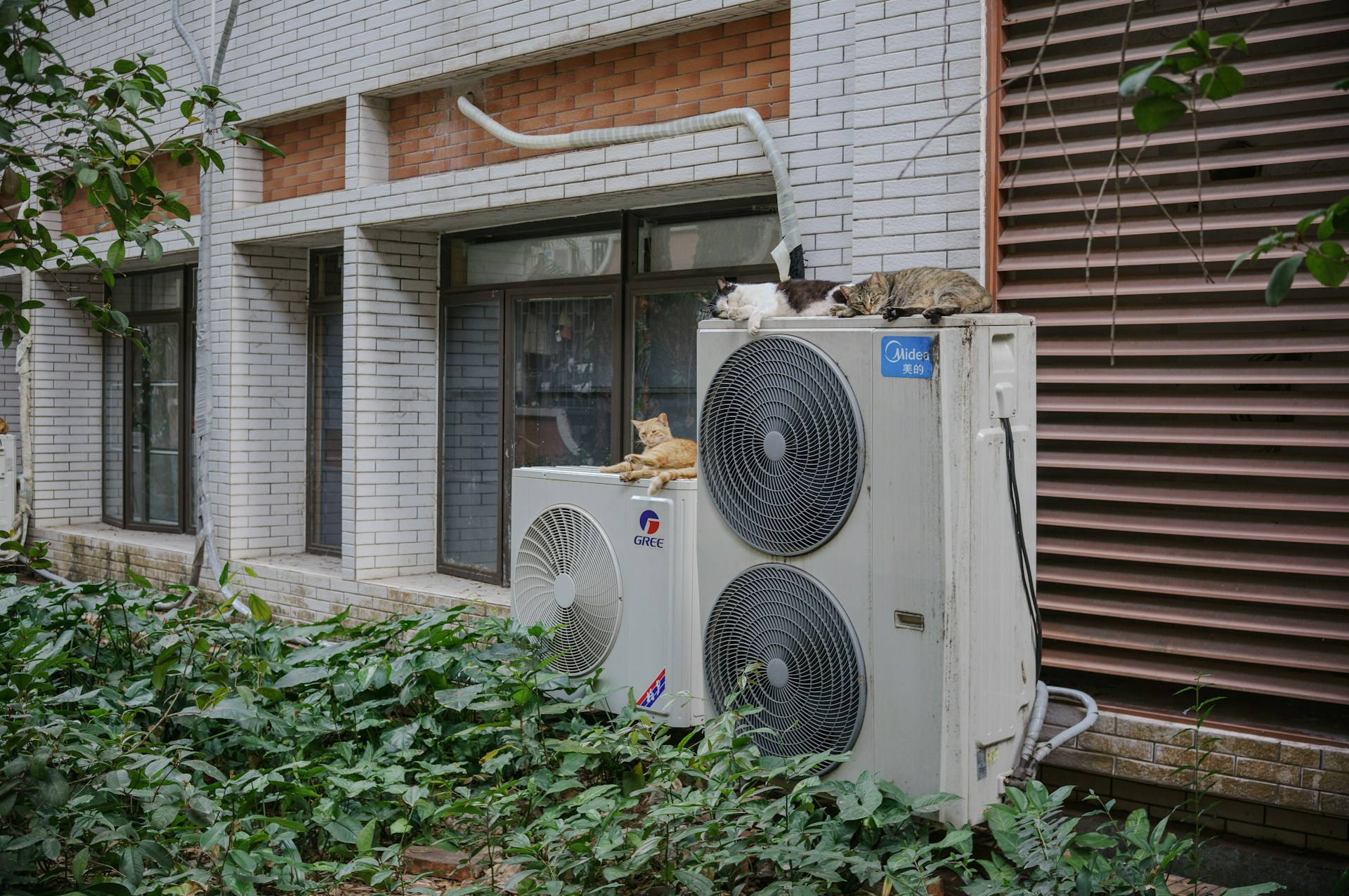 heat pump